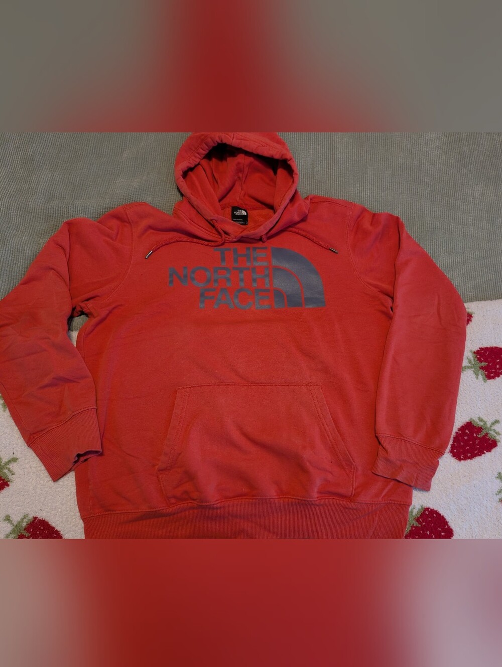 The North Face Coral Half Dome Pullover Hoodie Size Medium